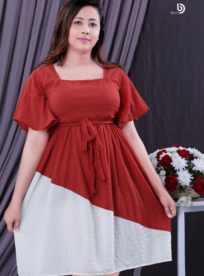 BUTTERFLY SLEEVE TWO TONE SHORT DRESS