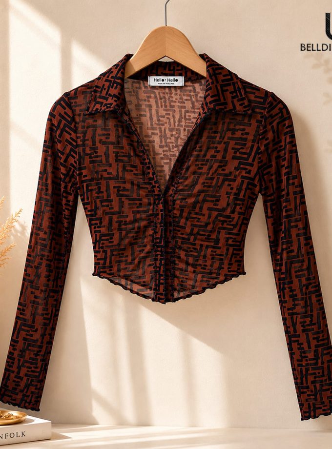 LONG SLEEVE BROWN COLOUR CROP TOP
